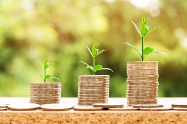 Open a Financial Company in Denmark